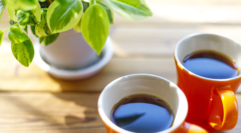 値幅制限とサーキットブレーカー